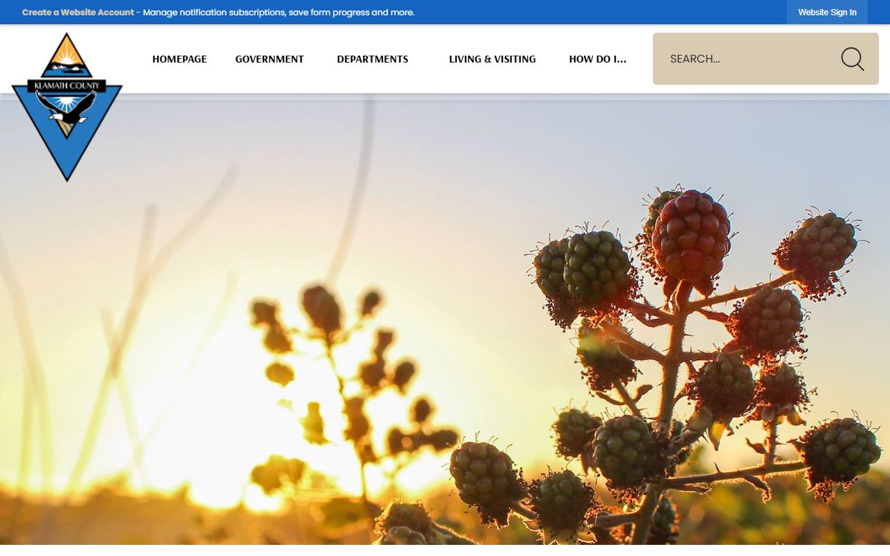 Klamath County government website for felony records