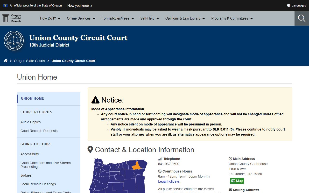 Union County Circuit Court website for felony records search