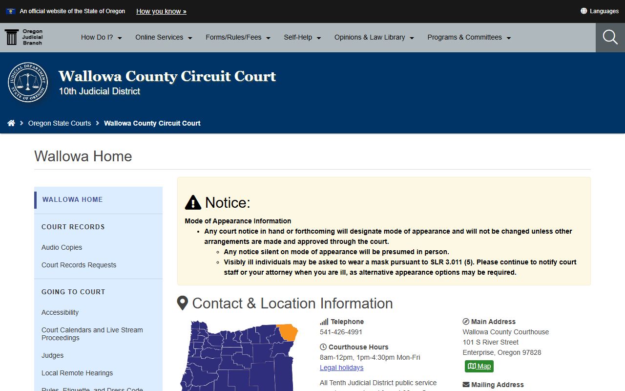 Wallowa County Circuit Court website for felony records lookup