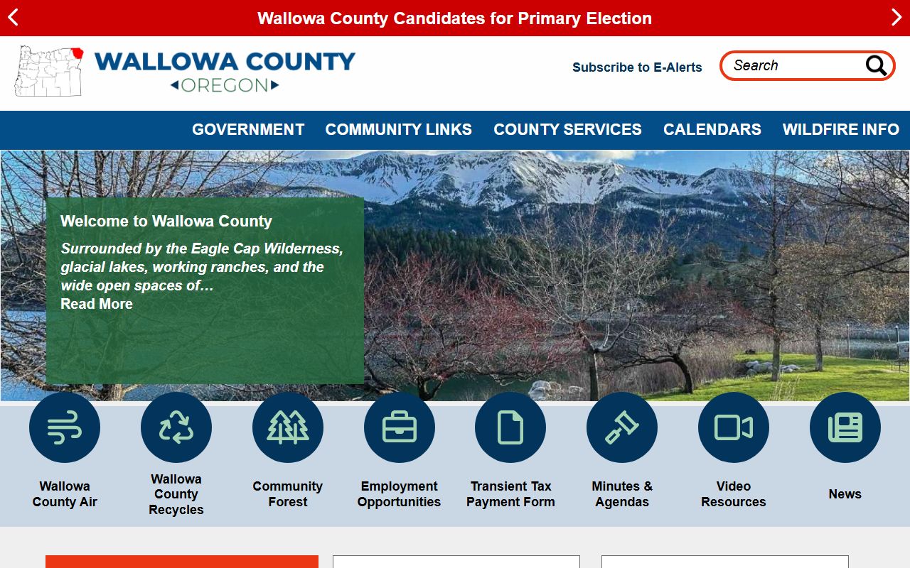 Wallowa County government homepage for felony records access