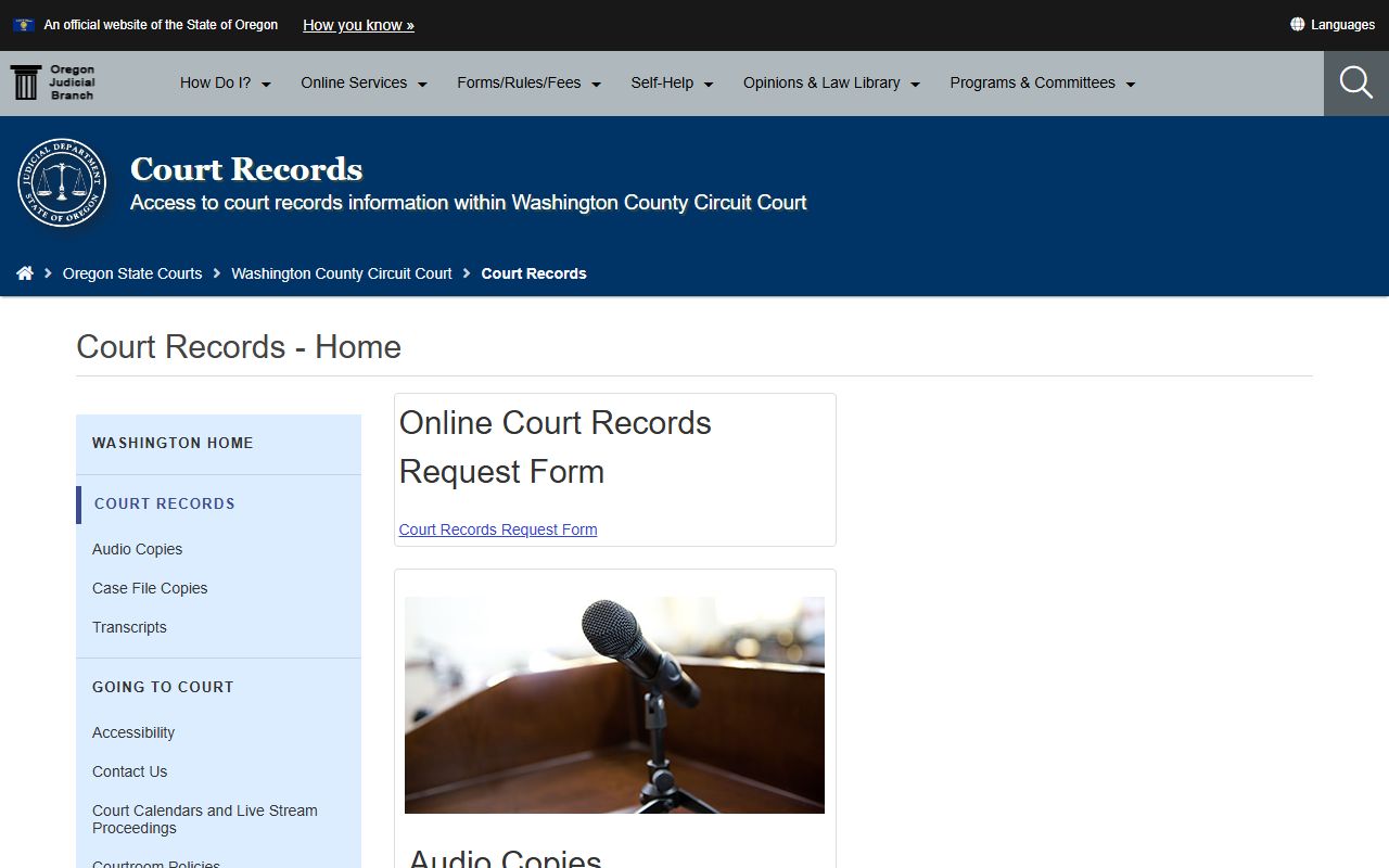 Washington County court records page for felony case access